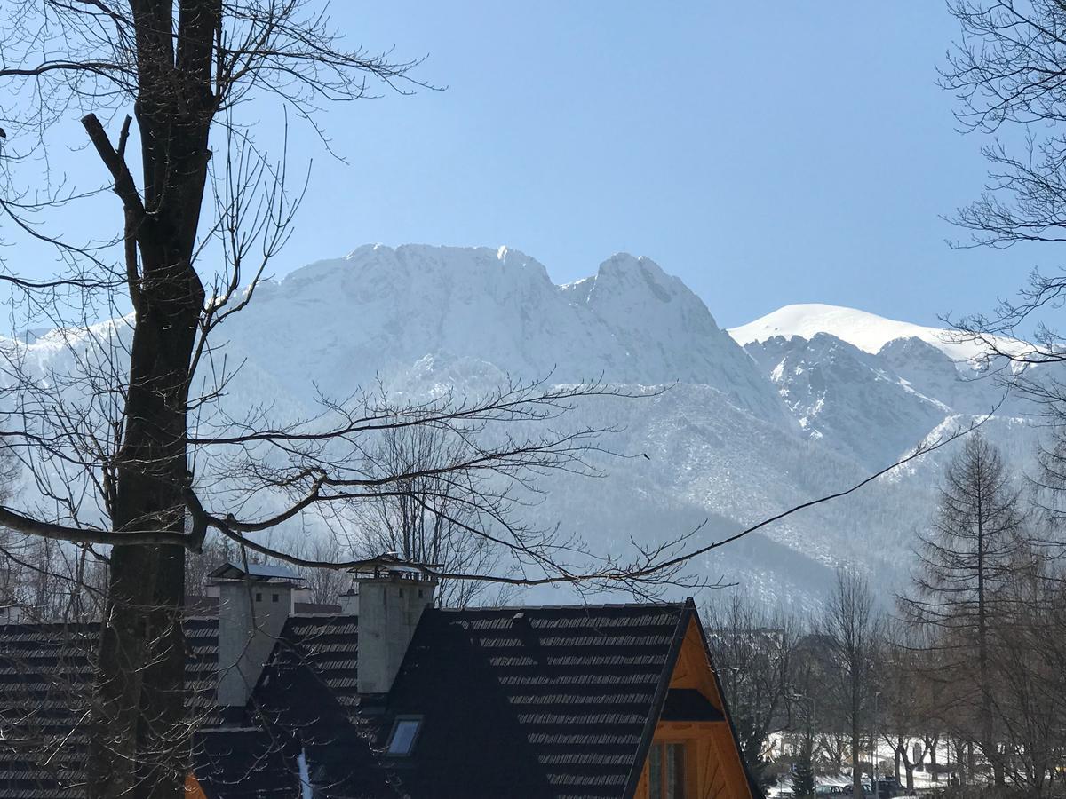 Apart-Center Sienkiewicza Zakopane Kültér fotó