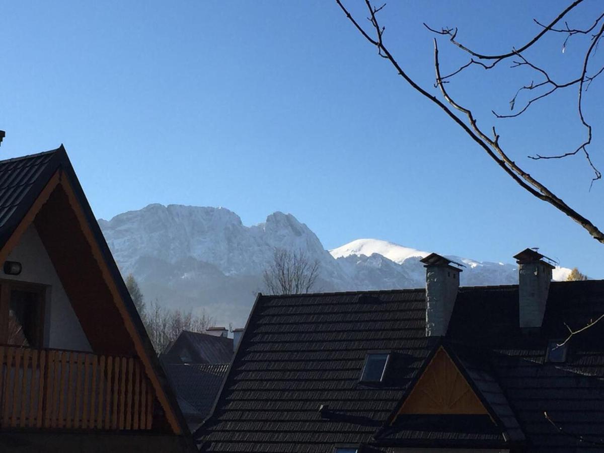 Apart-Center Sienkiewicza Zakopane Kültér fotó